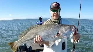 MORETON BAY jewies on SLOW-PITCH jigs and plastics