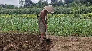 Smart Farming Hack: Transforming Dry Land Using a Homemade Tool!    - Agriculture Farming