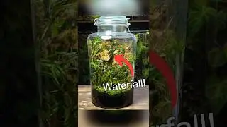 Creating a Waterfall Terrarium - Part 1