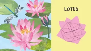 Lotus - Blomster origami