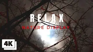 Full moon meditation music and relaxing video - relieve fatigue,calmness😌