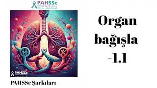 🫁 Organ Bağışla -1.1