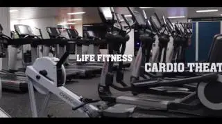 Muscle Universe Tour!