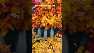 Осенние цветы в Hobby Lobby &mdash; суперкрасивые украшения для домашнего декора 🍂