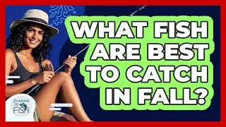 What Fish Are Best To Catch In Fall?