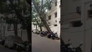 Pondi vlog -7 French street evening time #trending #pondicherry #frencharchitecture #frenchcolony