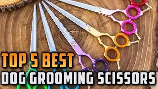 Top 5 Best Dog Grooming Scissors on On Aliexpress On Amazon
