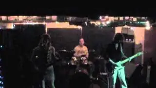 Brown Thrasher -- Verge of Bliss