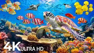 Amazing 4K Ocean Adventure 🐳 Dive Deep and Marvel at Sea Animal in The Best 4K ULTRA HD Aquarium #69