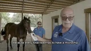 Vet Day: Horse Check-Ups at Hartley DeRenzo Farms