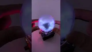 Touching Electricity?! This Plasma Sphere Reacts Instantly🔮 ⚡#science#experiment#usa #florida#short