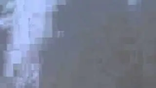 Rodney cam45