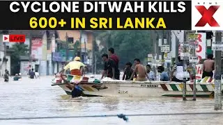 Cyclone Ditwah LIVE | Death Toll Climbs to 607 as Cyclone Ditwah Batters Sri Lanka