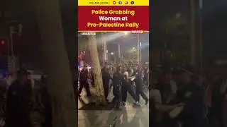 Eyewitness Video Shows Police Grabbing Woman at Sydney Pro-Palestine Rally