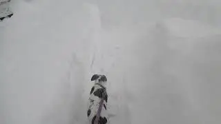 December in Vermont - First Big Snow