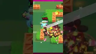 DAILY STARR DROP PT810