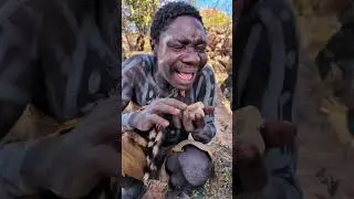 #africa #wildlife #food #animals #nature #monkey #documentary #travel #funny #comedy