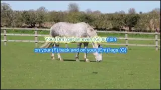 Where do you go to my Lovely by Peter Sarstedt Play Along with scrolling lyrics & guitar chords
