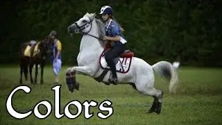 Colors || Mounted Games Music Video ||