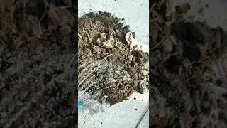 Preparing Soil for nursery || ANYTECH SOLUTION, Ashwin Dangi Bhopal