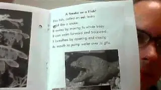 i is that a fish (Reading A-Z)
