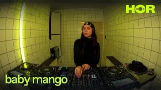 baby mango | H&Ouml;R - December 26 / 2024