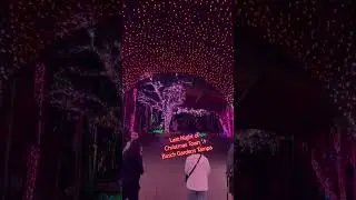 Last Night of Christmas Town ✨ Busch Gardens Tampa, FL #TampaFL #HolidayVibes #TravelShorts #Florida