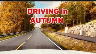 DRIVING IN AUTUMN 🍂/ NORWAY 🇳🇴 #driving #norway #autumn 
