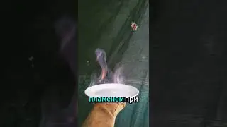 ⚠️ Этанол &mdash; топливо будущего, которое стало слишком опасным