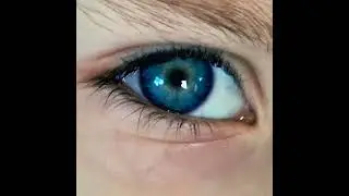 Alexandre Sookia - Bleu (Clip Officiel)