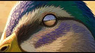 The Duck’s Internal Clock: Daily Rhythms and Instinctive Behaviors Explored