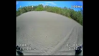 GTB339 F1 Cruising in the woods