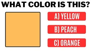 What Color Is This? How Well Do You Know Colors In English? | English MasterClass