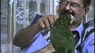Nova Esperan&ccedil;a-PR 96.avi
