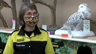 International Owl Center gains even more international support