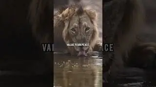 Value peace 🕊️ over opinions 🗣️ || Motivational || Powerful #shorts #inspirationalquotes