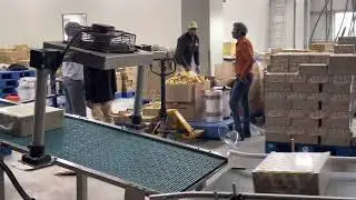 #Real juice making process #Dabur