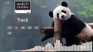 Panda sound effect  grizzly bear roar