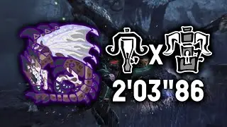 Tempered Guardian Rathalos DUO SPEEDRUN 2'03