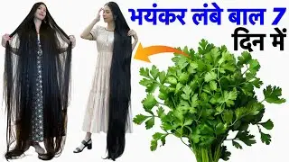 धनिया के पत्ते में एक चीज़ मिलाकर आप अपने बालों में लगा लो | Bal bhayankar Lambe Ghane Ho jaenge💯✅