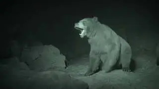 Cave lions ambush a family of Cave bears | Prehistoric Planet: Ice age