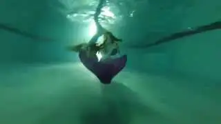 Siren Tide Night Swim