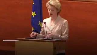 Solemn Undertaking of the College of Commissioners before the Court of Justice in Luxembourg