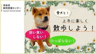 【犬と暮らす】上手に楽しく散歩しよう！～拾い食い・ひっぱりをなくすには～