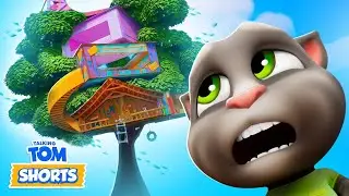 Talking Tom Live - Funny Talking cat live talk with everyone #talkingtom #live #shorts