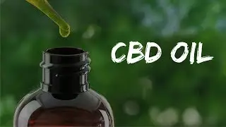 shelf life of cbd oil