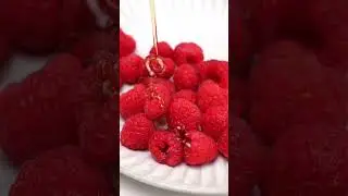 Bold's High Protein Coconut Vanilla Raspberry Bars