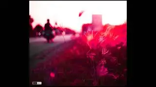 [Free] type beat chill summer vibe type beat