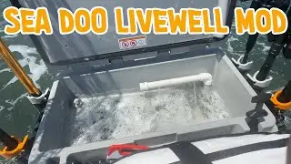 A Better Sea Doo Livewell