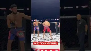 ЖЕСТКИЙ ФИНИШ #mma #хонор #бокс #muradaov #мма #харидуз #бои #абдукариммирзаев #ufc #бой
